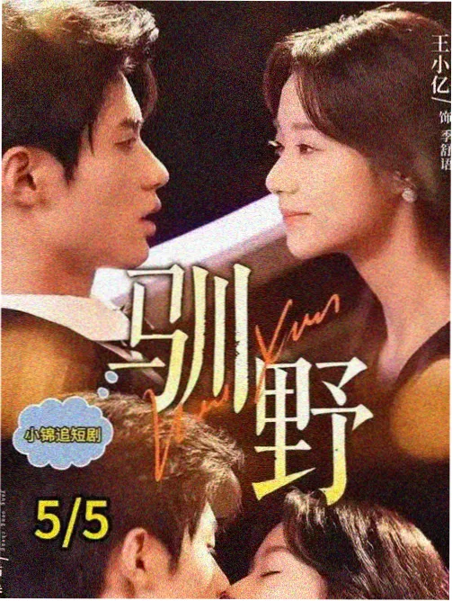 日常治愈向 题材图鉴示意图
